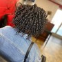 Loc Retwist