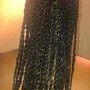 Small Individual Senegalese Twist (mid back)