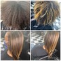 Root Touch Up