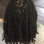 Kids Box Braids (10 and under)