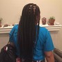 Kids Box Braids (10 and under)