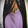 SMedium box braids lower back