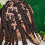 Dreadlock Therapeutic wash and twist