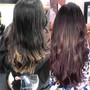 Single Process Color, Olaplex Treatment, Women's Trim