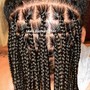 Goddess Braids Medium