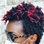 Starter Locs (Medium Density)