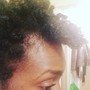 Starter Locs (Medium Density)