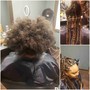 Root Touch Up