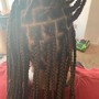 Medium Soft locs (waist length)