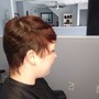 Partial Highlights