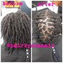 Loc Maintenance (7-10 weeks of new growth)