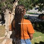 Tree Braids