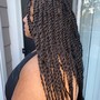 Medium Senegalese Twist