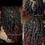 Medium Passion Twists (waist)