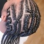 Two strand Twist with extensions