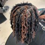 Starter Locs