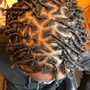 Root Touch Up