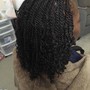 havana twist/Marley twist