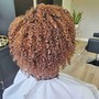 Root Touch Up and Style/ New Growth Only