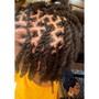 Loc Re-twist w/ plaits or braids