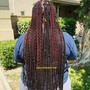 Butterfly Locs Mid-back Length