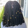 Kinky Twist/Passion Twists