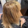 Toner with blow dry  and style