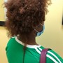 Starter Locs (Medium Density)