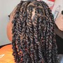 Starter locs