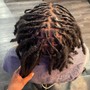 Adult starter locs