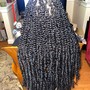 Oshun (passion) Braids