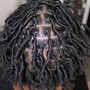 Root Touch Up, Loc Maintenance