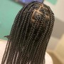 Natural Hair Individuals Twists or Individual Braids (Medium)