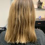 Root Refresh + Haircut Style