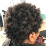 Root Touch Up