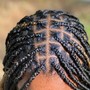 Starter locs