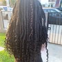 Butterfly/Distressed Faux Locs