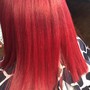 Demi Permanent Color