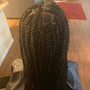 Medium Box Braids(mid-back)