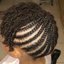 Med/Large Havanna Twist