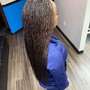 Small Senegalese Twist