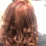 Highlights