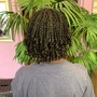 Natural Twists