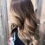 Balayage/Foilyage, Haircut