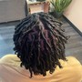 Adult starter locs