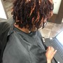 Root Touch Up