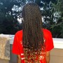 Jumbo bob Box Braids