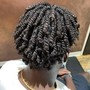 Two Strand Twists