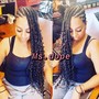 2 Strand Twist Narural Hair