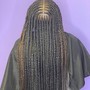 15-25 Feed in Braids